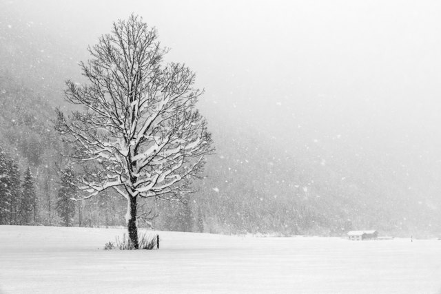 Das Tief "Emma" ist angekommen und versorgt die Nordalpen endlich mit Schnee. Im Bild das Strubtal östlich von Waidring.