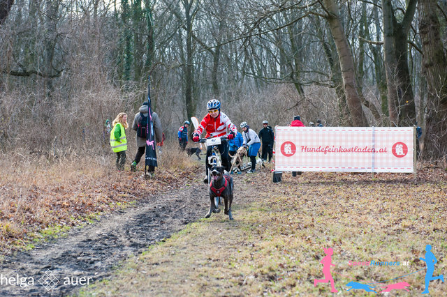 Bikejøring © SpeedRunners.at