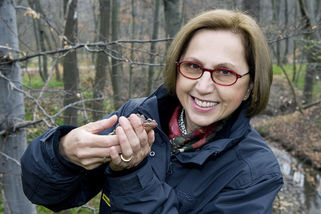 Tiergartendirektorin Dagmar Schratter unterstützt Forscher wie Grasfröschen. | Foto: Daniel Zupanc