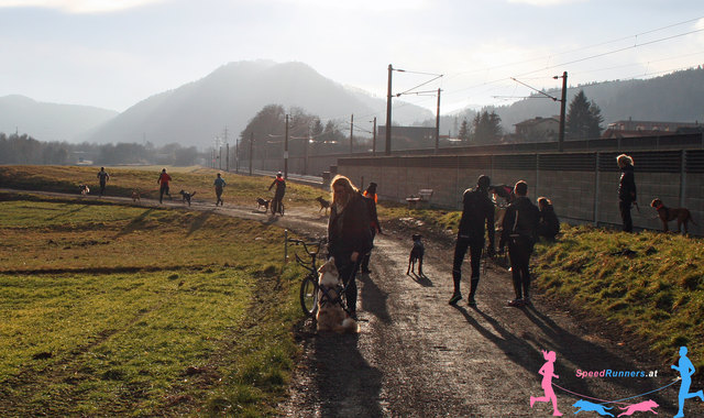 In der schönen Natur © SpeedRunners.at