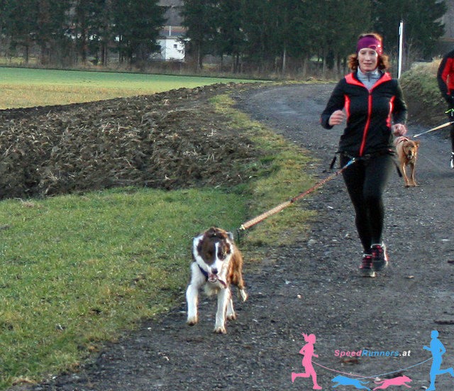 Canicross macht Spaß und Fitt © SpeedRunners.at