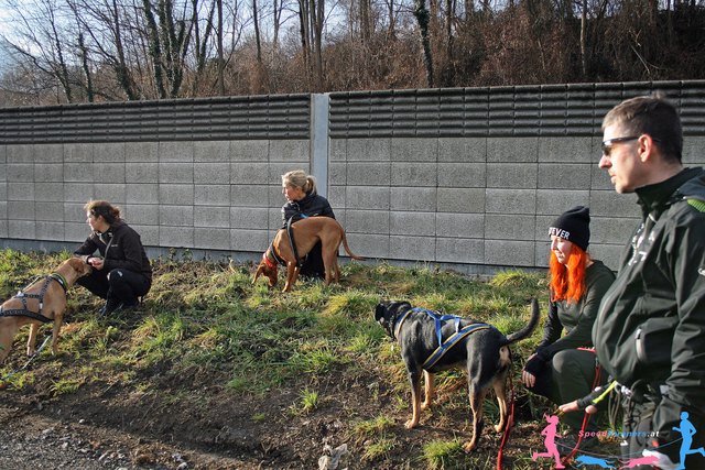 zusehen und lernen © SpeedRunners.at