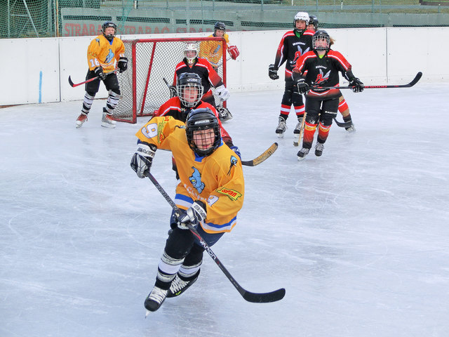 Die Icebirds (orange). | Foto: Adi Steinwender