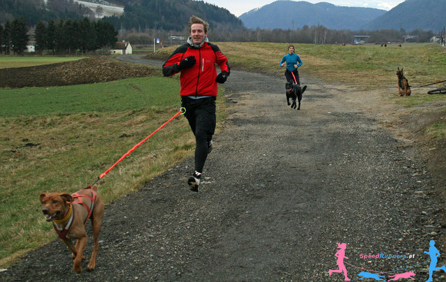 Canicross und die neuen machen sich schon sehr gut © SpeedRunners.at