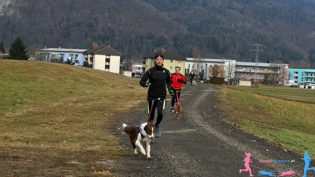 Canicross macht Spaß © SpeedRunners.at