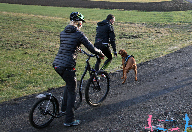 Dogscooter © SpeedRunners.at