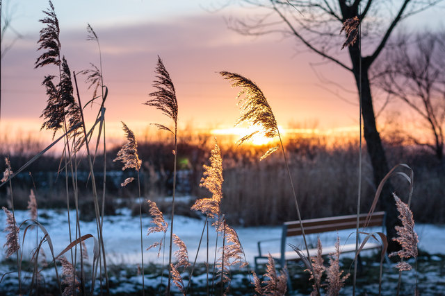 Wenn es nicht so kalt wäre, würde man sich am liebsten hinsetzen und den Sonnenuntergang am Teich genießen