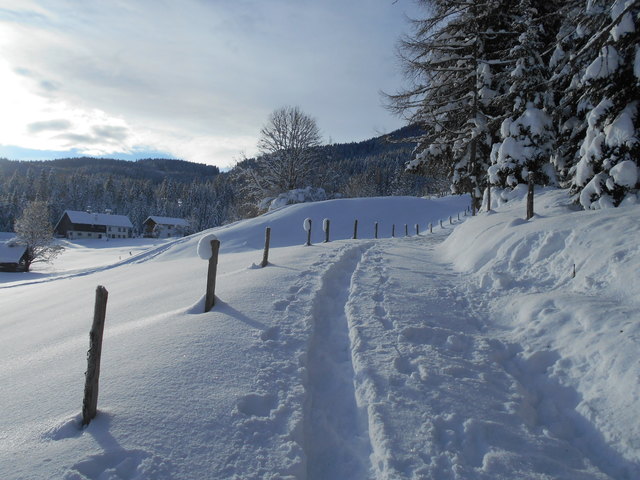 Der erste große Schneefall im neuen Jahr hat das Lammertal mit einer dicken Schneedecke eingedeckt. Der kurze Aufstieg zur Spießalmhütte war da schon eine kleine Herausforderung. Mehr Bilder unter: http://www.laemmerhof.at/blog/schneeschuhwanderung-spiess