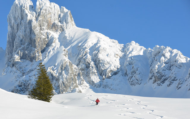 Es warten Traumhänge unter der Bischofsmütze auf Sie. Begleitet werden Sie von erfahrenen Bergführern. | Foto: skitourenwinter.com