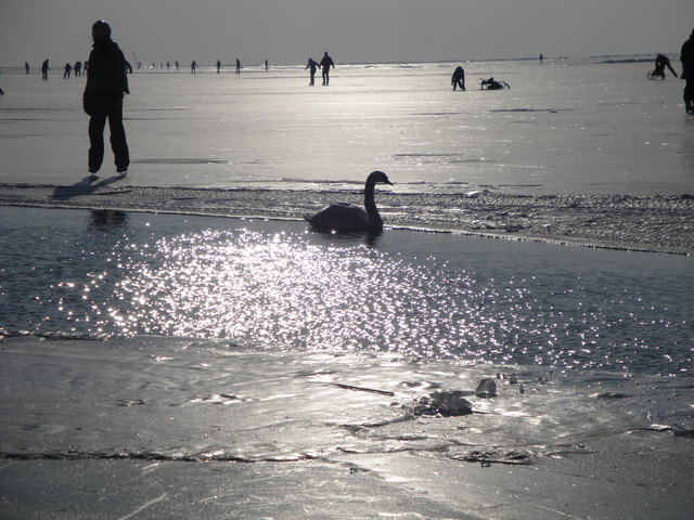 Eislaufen am Neusiedler See