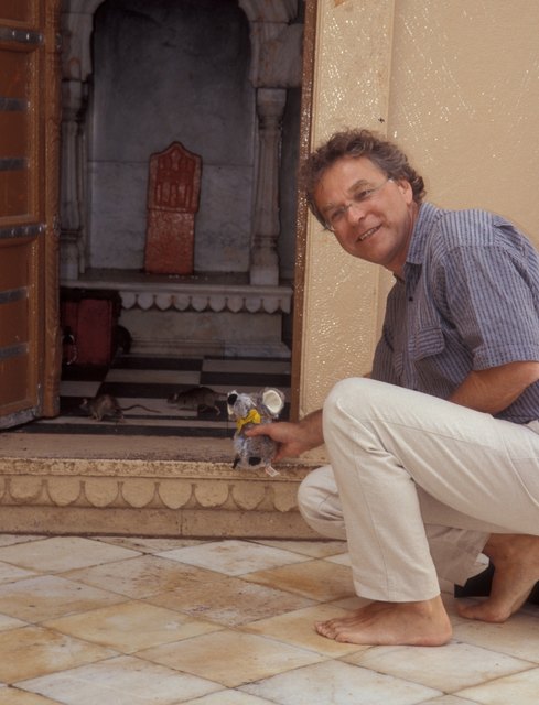 Wie es der Zufall wollte, war unser Reisemaskottchen eine Ratte