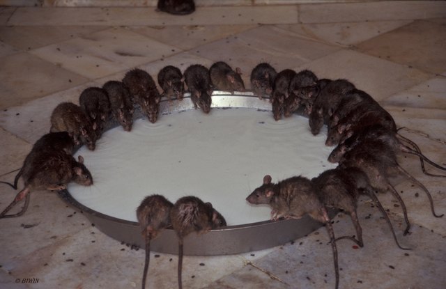 Es ist angerichtet ....