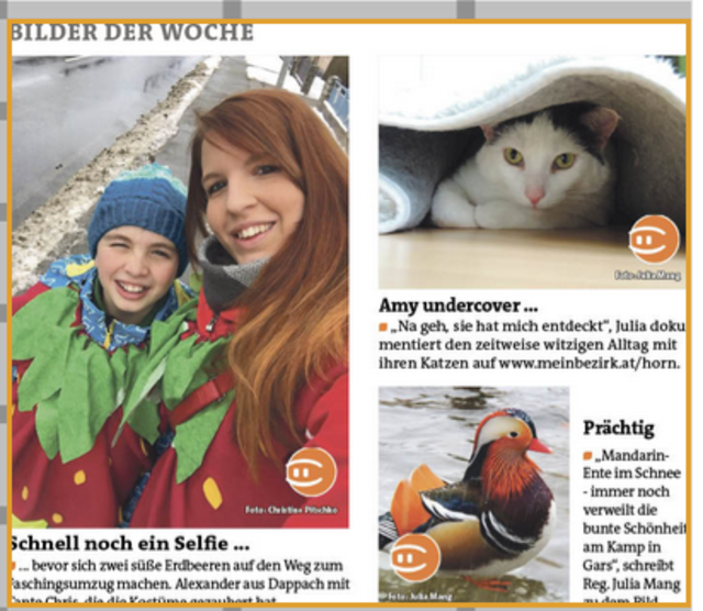 Partnersuche konz