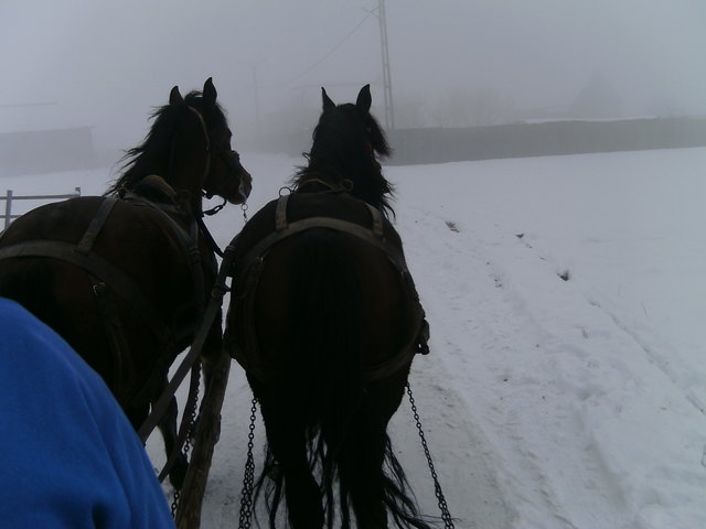 eine andere Wintersportart