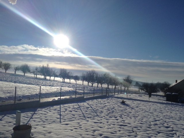 ein strahlender Wintertag in Neumarkt :)