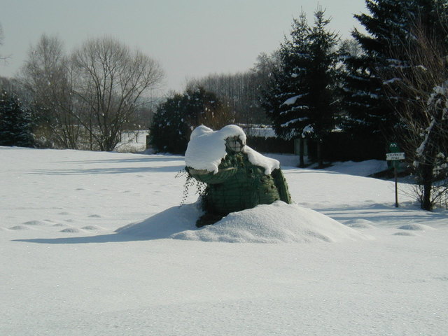 Winterschlaf im Moor von Rohr