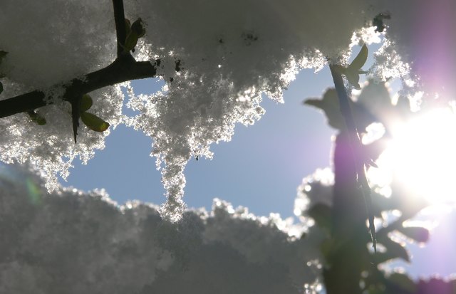 Mit leisen Schritten durch die Winterlandschaft