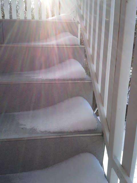 vergängliche Pracht