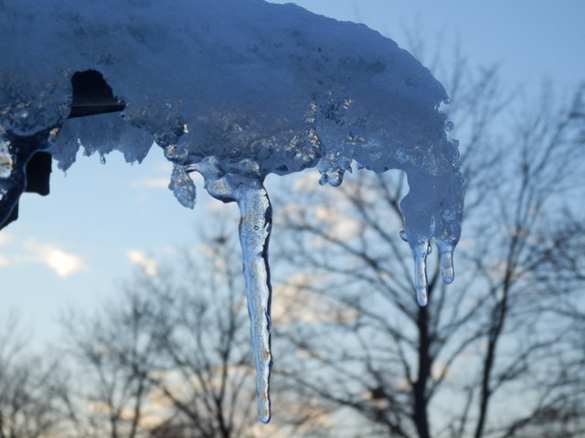"Eiszapfen im Abendlicht"