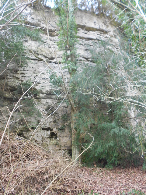 Der Tuffsteinbruch in Neustift wurde bereits im Jahr 1925 zum Naturdenkmal erklärt.