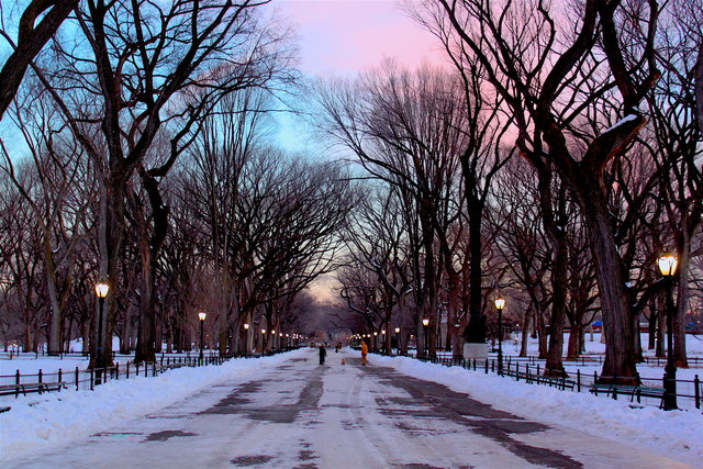 Central Park im Feber