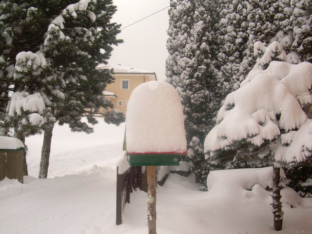 So viel Schnee im Hof und Garten!