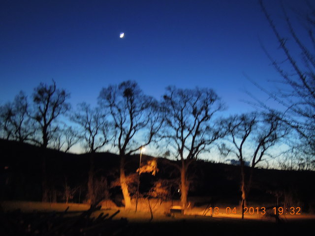 Abendstimmung von der Lindenallee in Kobersdorf