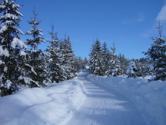 Winter im Waldviertel