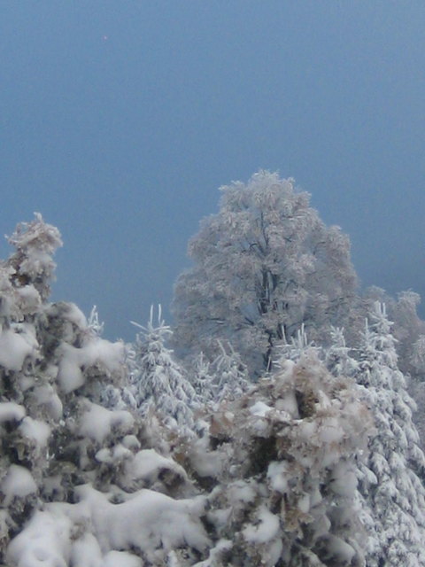 Schneelandschaft und blauer Himmel