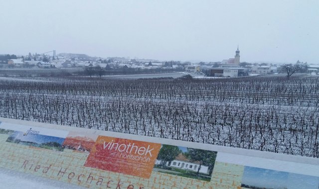 Weinbaugemeinde Horitschon im winterlichem Flair