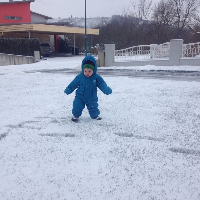 Maximilian im ersten Schnee