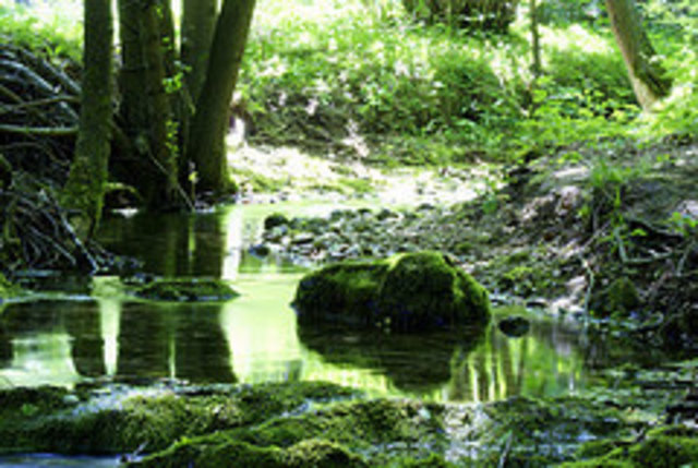 WASSER - unser aller Lebenselixier...