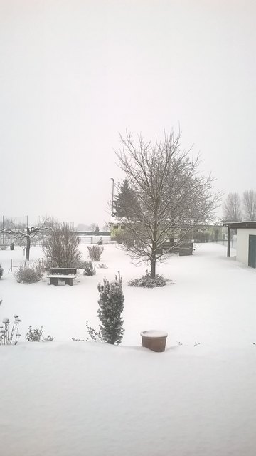 Unser Garten im Schnee