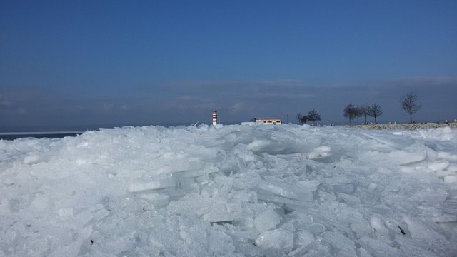 Wir lieben unsere Heimat!