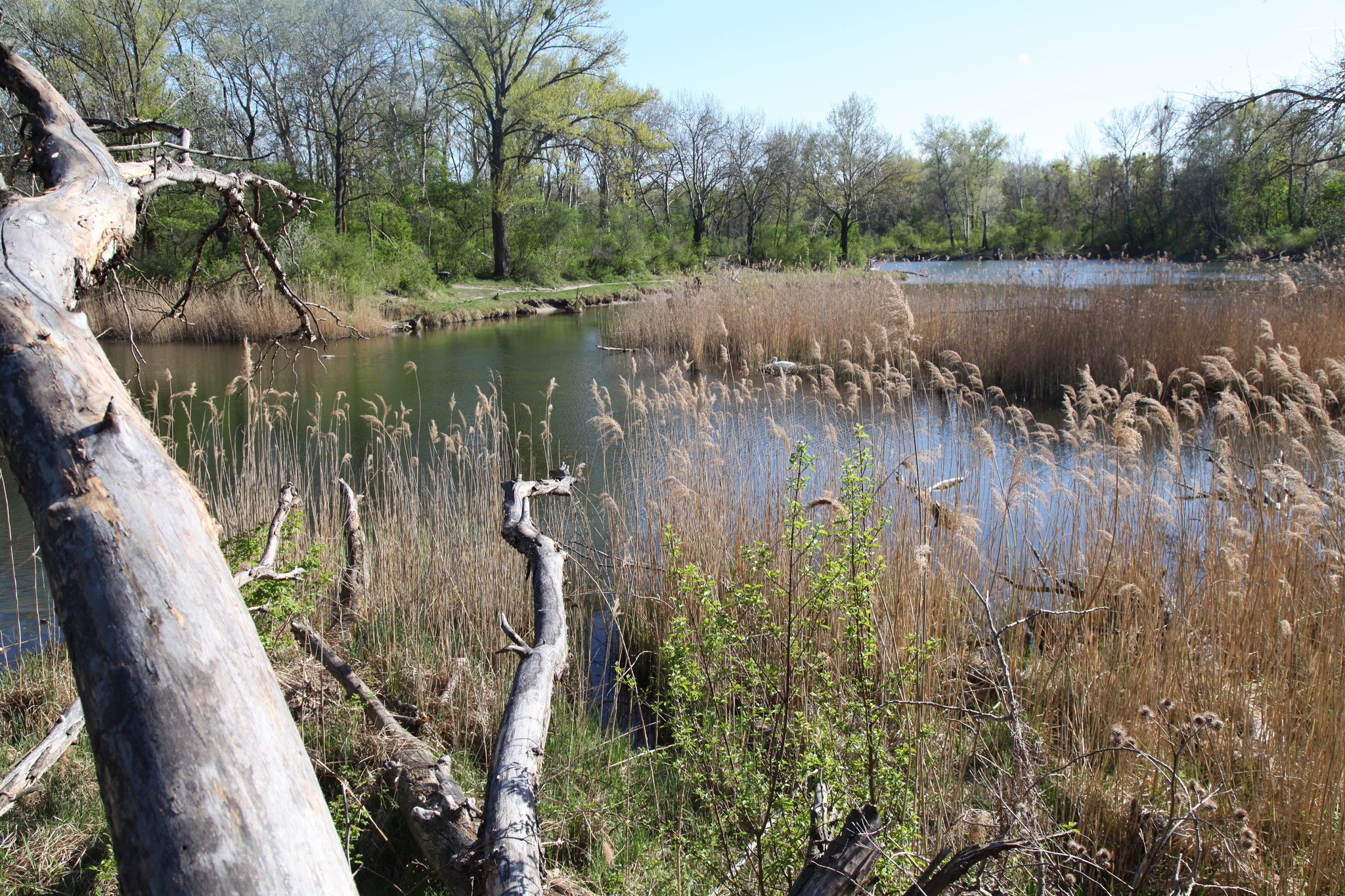 Lobautunnel: Kippt die SPÖ ihr eigenes Gesetz? - Wien