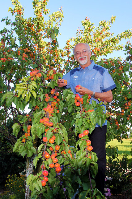 Obstbaureferent Sepp Mayr gibt Tipps. | Foto: Privat