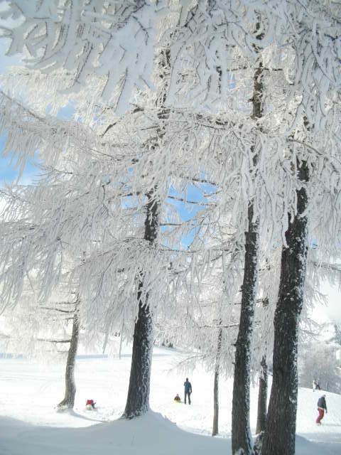 Winterwonderland Tauplitz