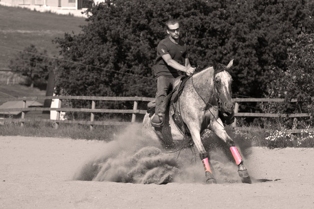 Reinhard Hochreiter und Pferd Squalaw. Der Sliding Stopp ist das bekannteste Manöver der Western-Disziplin Reining. Das Pferd bremst aus vollem Galopp.