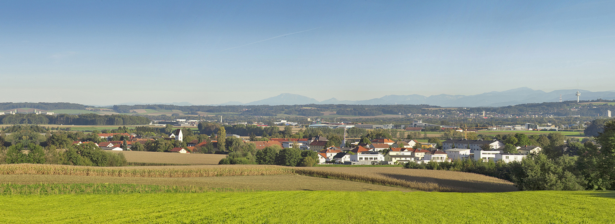 Gemeinde Pasching führt den PaschingPass ein LinzLand