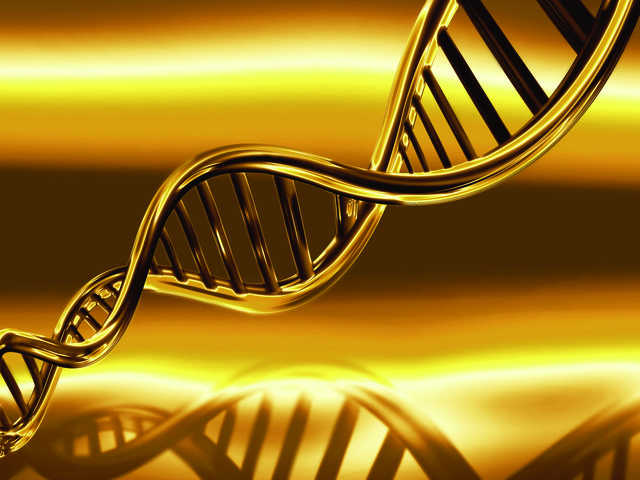 Der Workshop befasst sich mit der GKDNA. Diese bietet die Möglichkeit, ein ganz tiefes göttliches Potenzial mit allem zu erleben und zu feiern.