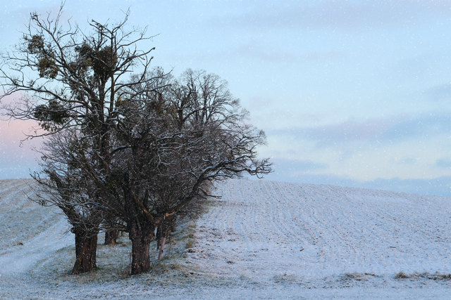 So schön ist Güssing