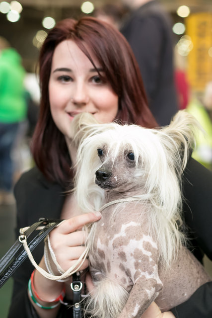 Tierhalter finden für ihre Vierbeiner auf der Haustiermesse ein umfangreiches Angebot. | Foto: Exotica