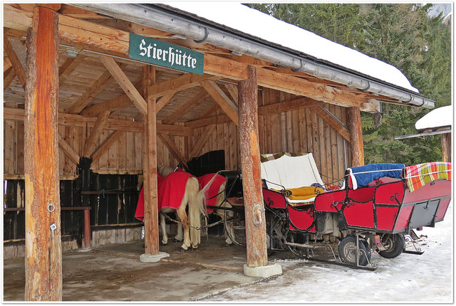 In der Stierhütte dürfen auch Pferde parken ;)