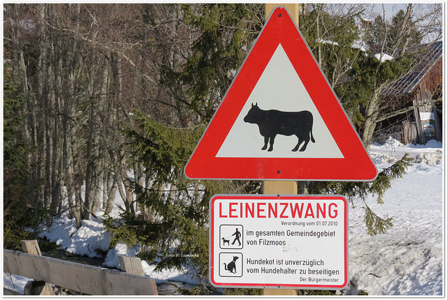 Doch nicht, ist für Hunde gedacht.