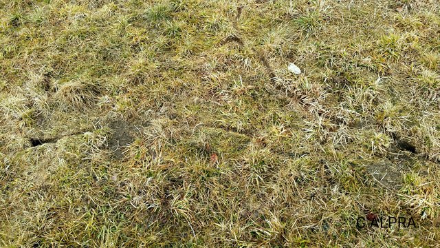 Nach der Schneeschmelze  werden so manche geheime Transport und Fluchtwege sichtbar.