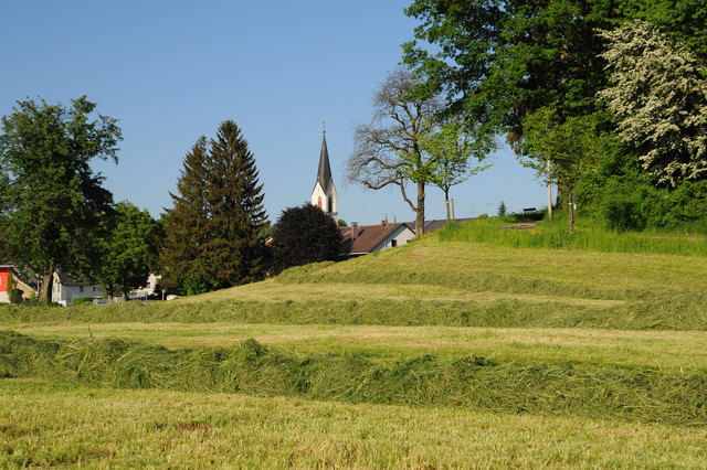 "Doktorbergerl" in Riedau