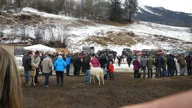 Gebietsausstellung Grins 21.02.2016 http://1drv.ms/21jdyW5