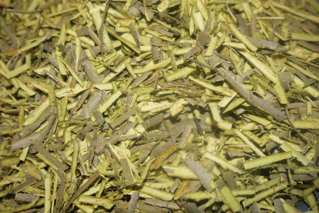 Weidenrinde
