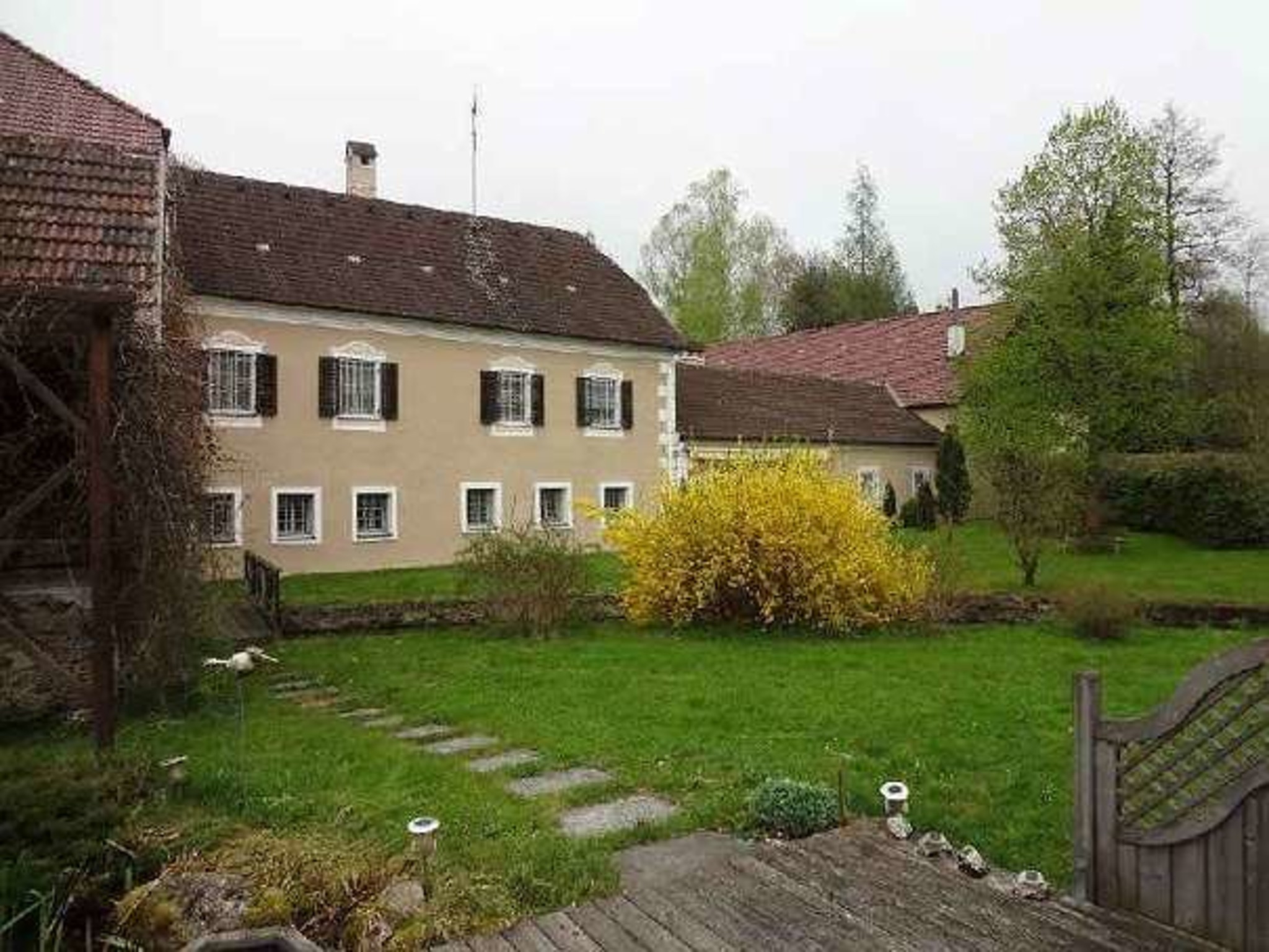 Singles waidhofen thaya
