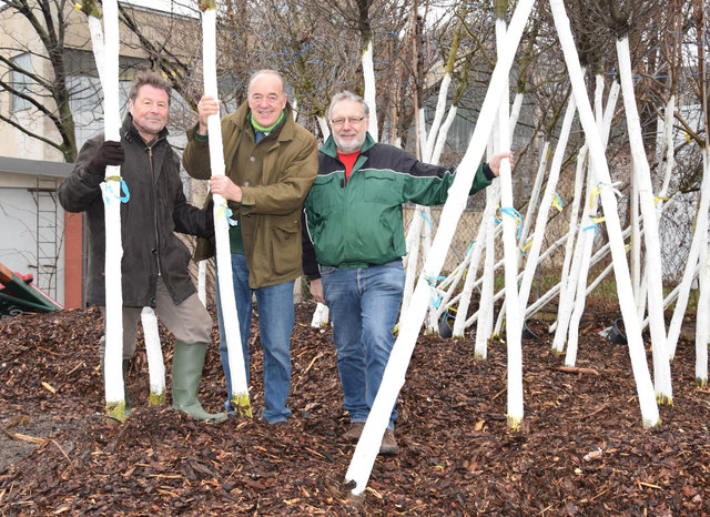 Prof. Dr. Florin Florineth, Stadtrat Dr. Leo Lindebner und Gärtnermeister Norbert Rauch begutachten im Einschlaglager auf dem Wirtschaftshof die Pflanzenware, die in den nächsten Wochen ausgesetzt wird. | Foto: Garaus